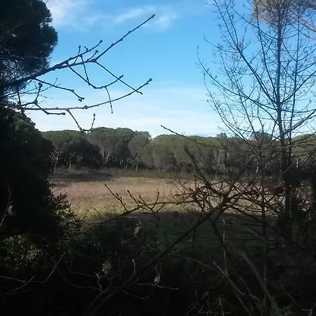 Les Les Mayombes