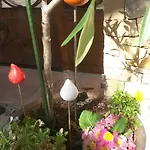 Les Les Mayombes * Roquebrune-sur-Argens