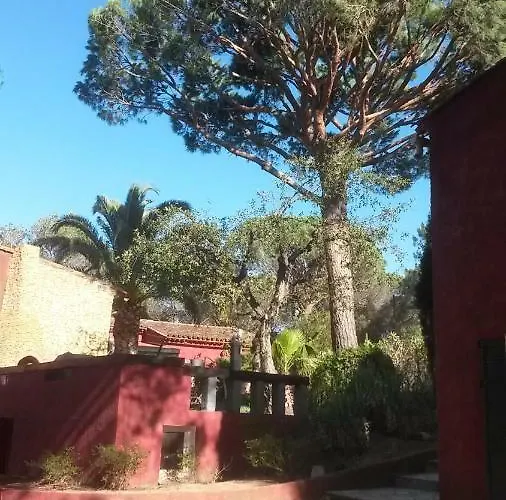 Les Les Mayombes